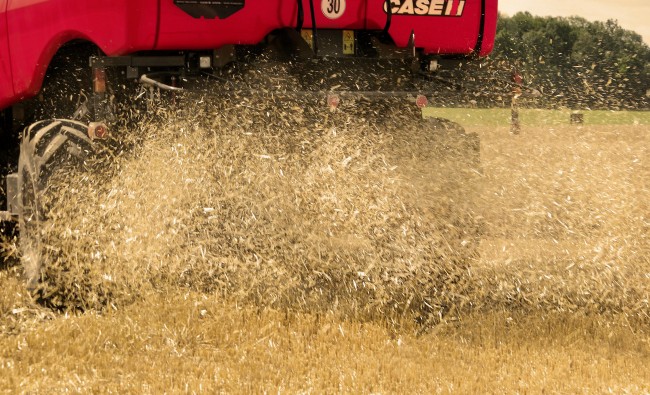 Javų kombainas Axial - Flow 150 serija 312 - 449 AG