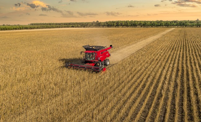 Javų kombainas Axial - Flow 250 serija 498 - 706 AG