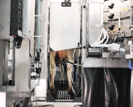 Nuo vizijos iki rakto: moderni ferma, sukurta ūkininko patogumui 