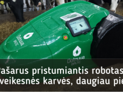 Pašarus pristumiantis robotas: sveikesnės karvės, daugiau pieno