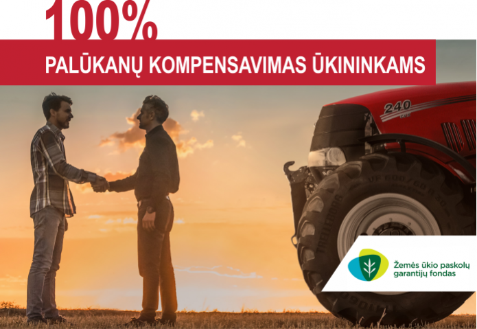 Finansavimo sąlygos Finansavimo sąlygos
