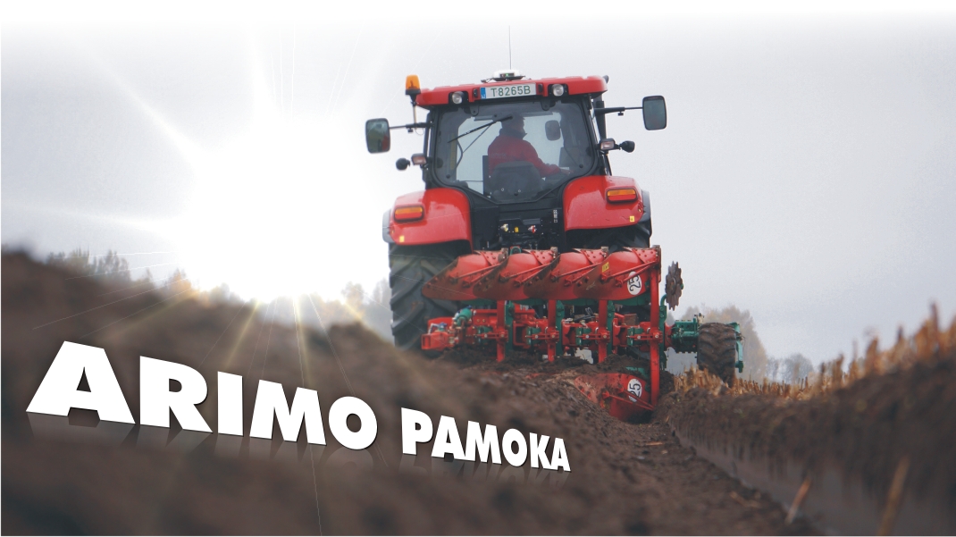Arimo pamokos 2015