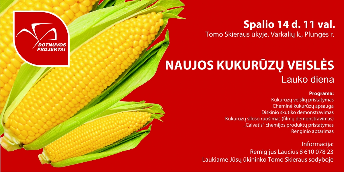 Naujos kukurūzų veislės