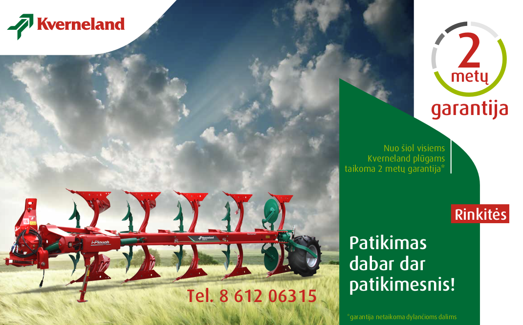 Aktualios žinios prieš Kalėdas