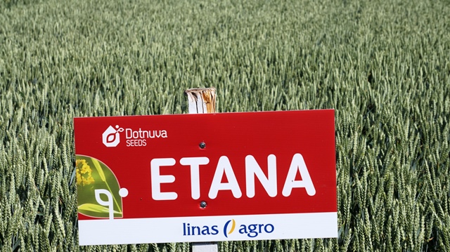 Naujausių augalų veislių ir auginimo technologijų pristatymai – lauko diena Pasvalyje