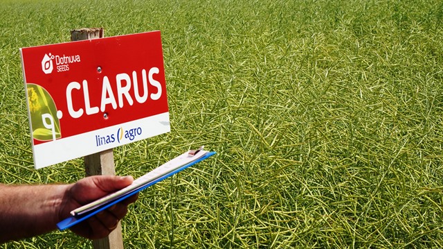 Naujausių augalų veislių ir auginimo technologijų pristatymai – lauko diena Pasvalyje