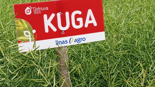 Naujausių augalų veislių ir auginimo technologijų pristatymai – lauko diena Pasvalyje