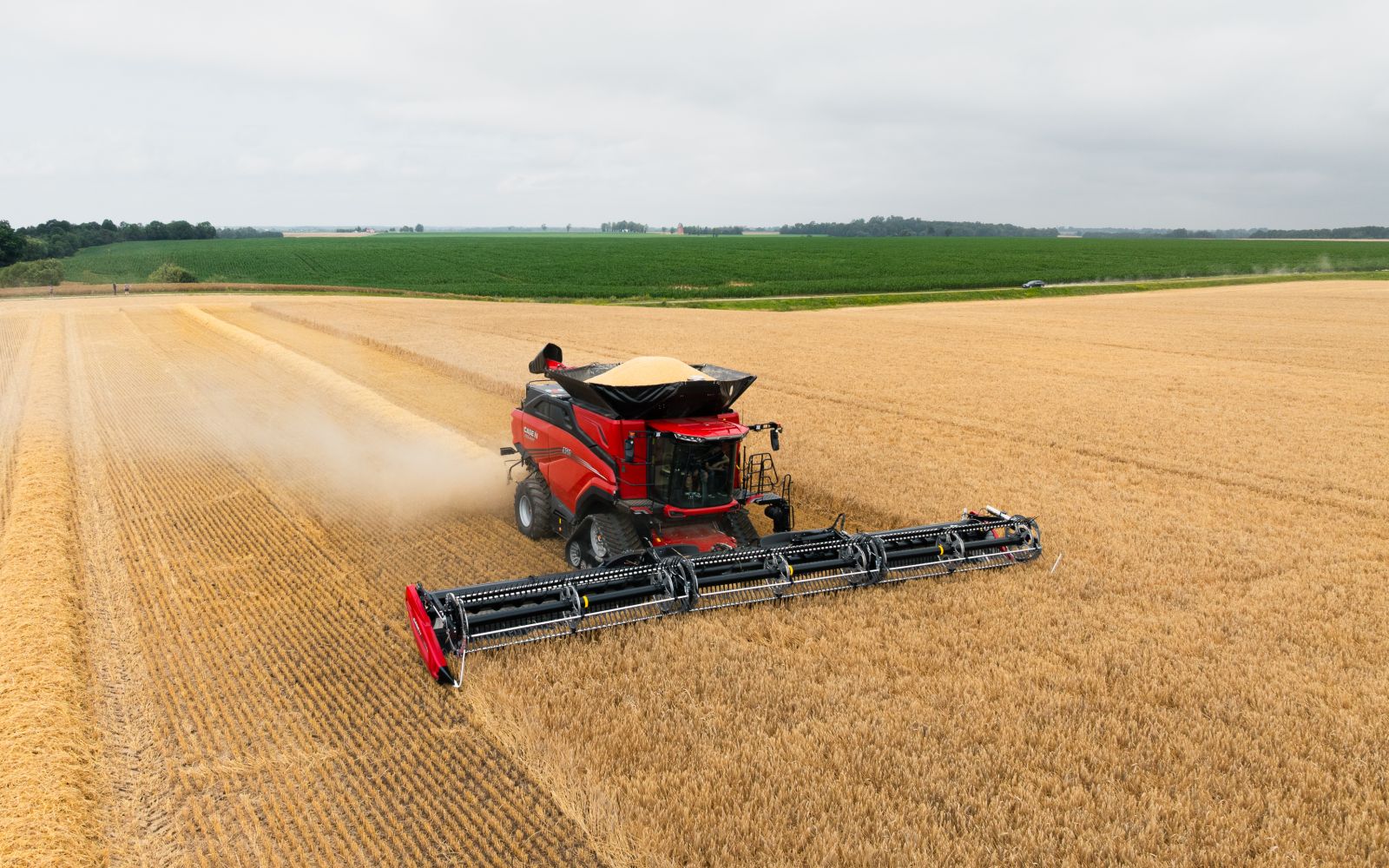 Galingiausias Europoje Case IH kombainas AF10 pristatytas Lietuvoje: technologijų šuolis, kurį verta pamatyti